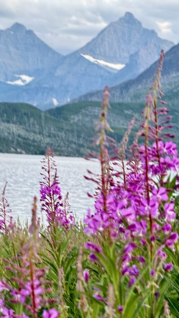 Glacier National Park