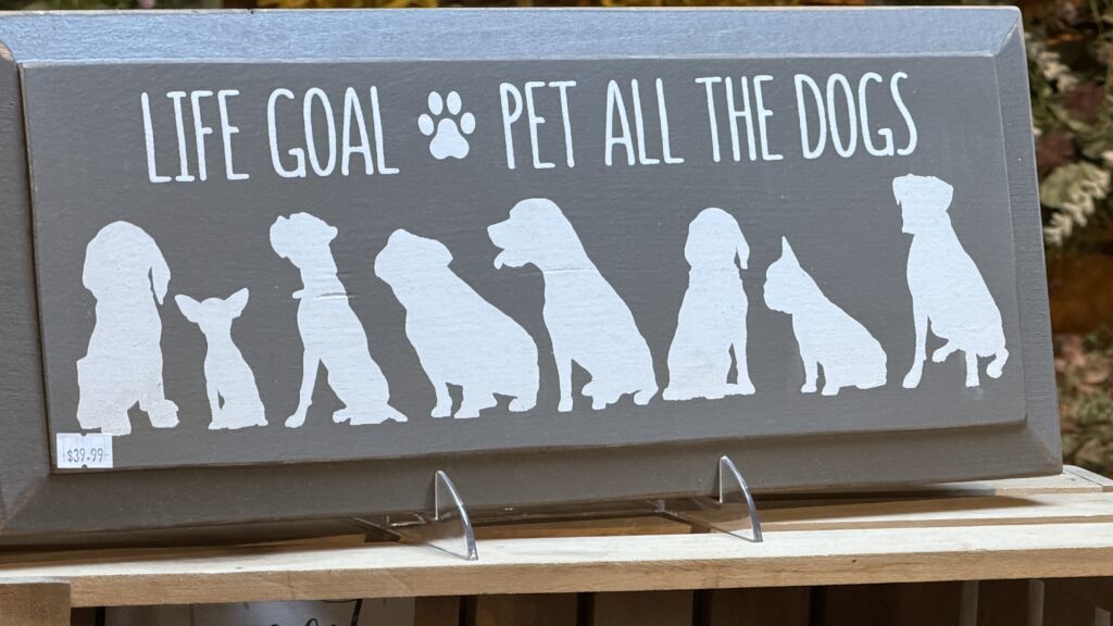 quote about petting every dog